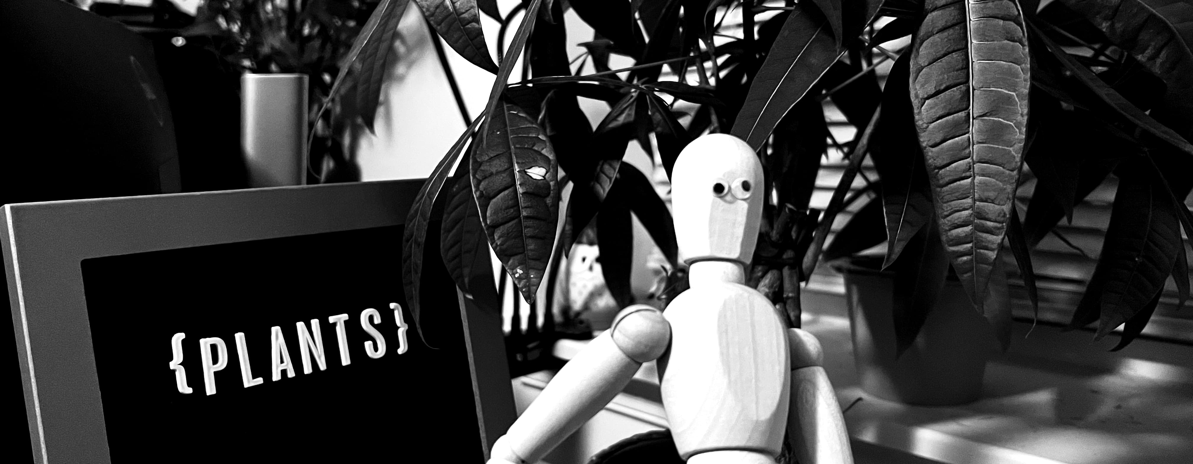 Creative projects banner